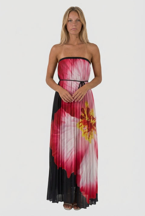 Lauriella Kleid 00
