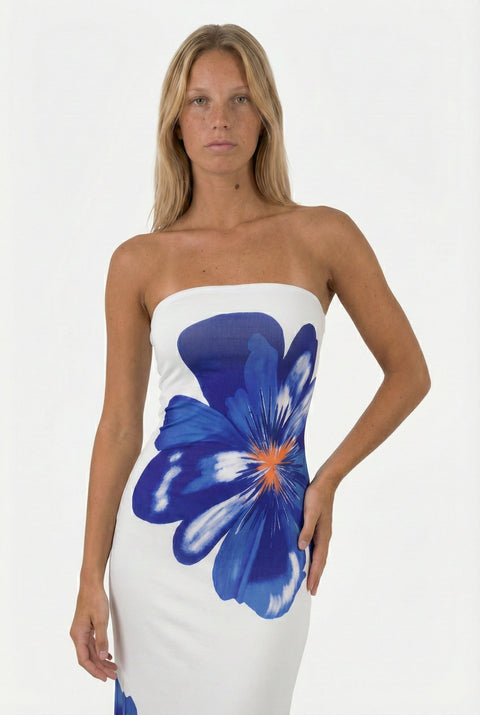 Robe Lonida