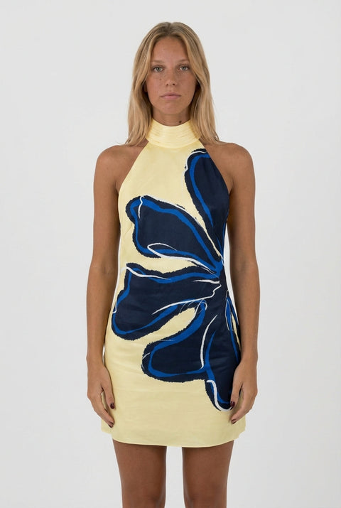 Robe Rebecca Indigo ?