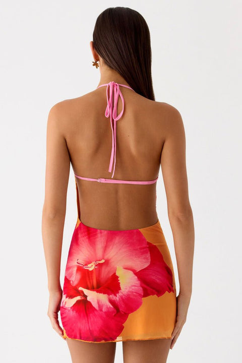 Yunia Dress ? | | S | Agnese Studios